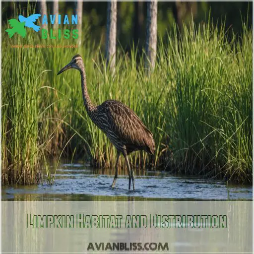 Limpkin Habitat and Distribution