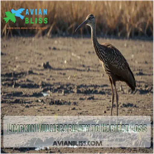 Limpkin Vulnerability to Habitat Loss