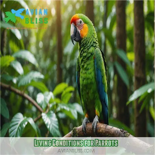 Living Conditions for Parrots