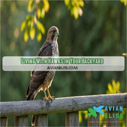 Living With Hawks in Your Backyard