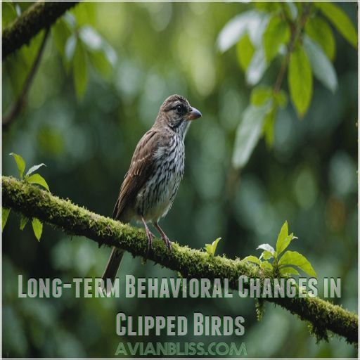 Long-term Behavioral Changes in Clipped Birds