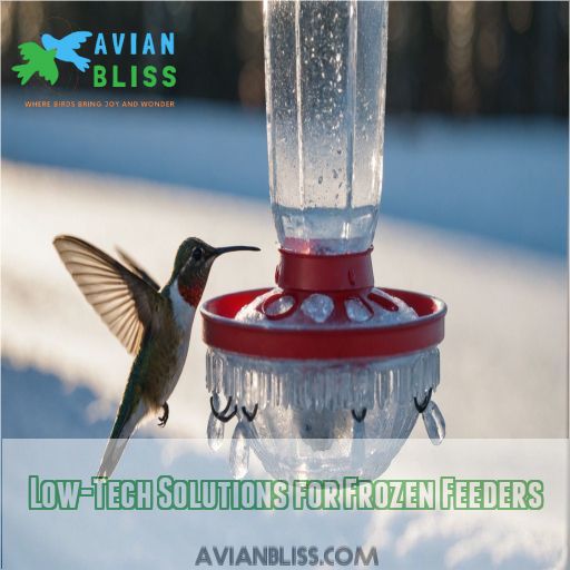 Low-Tech Solutions for Frozen Feeders