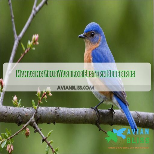 Managing Your Yard for Eastern Bluebirds