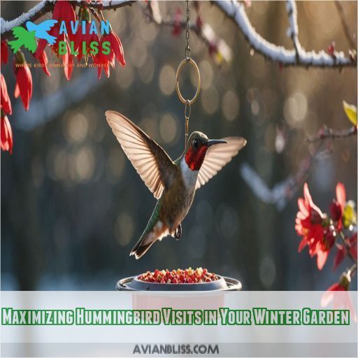 Maximizing Hummingbird Visits in Your Winter Garden