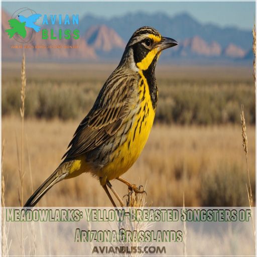 Meadowlarks: Yellow-Breasted Songsters of Arizona Grasslands