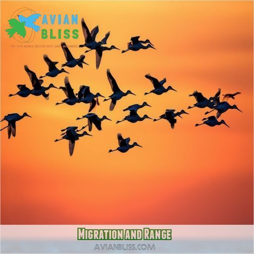 Migration and Range