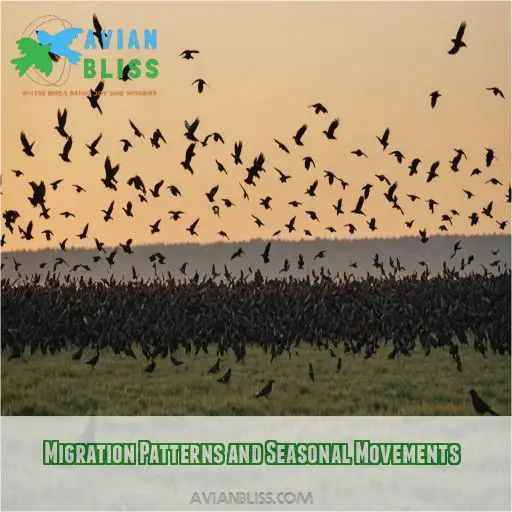 Migration Patterns and Seasonal Movements