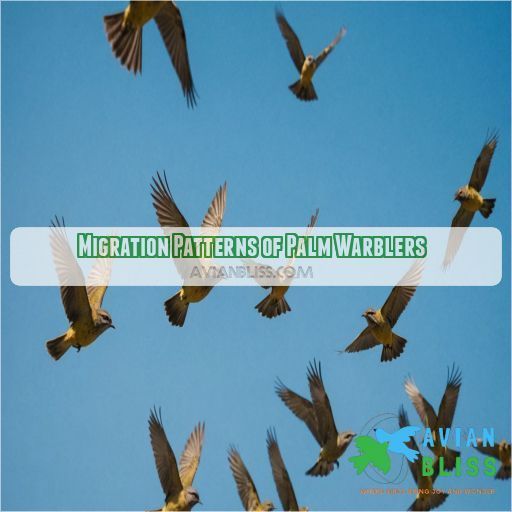 Migration Patterns of Palm Warblers