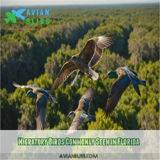 Migratory Birds Commonly Seen in Florida