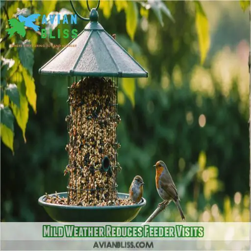 Mild Weather Reduces Feeder Visits