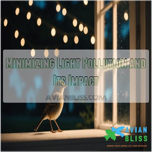 Minimizing Light Pollution and Its Impact