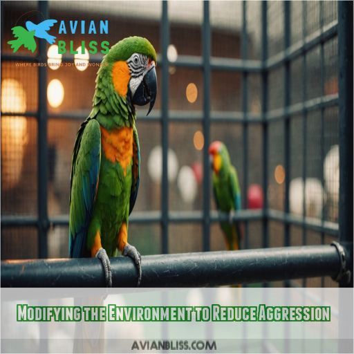 Modifying the Environment to Reduce Aggression