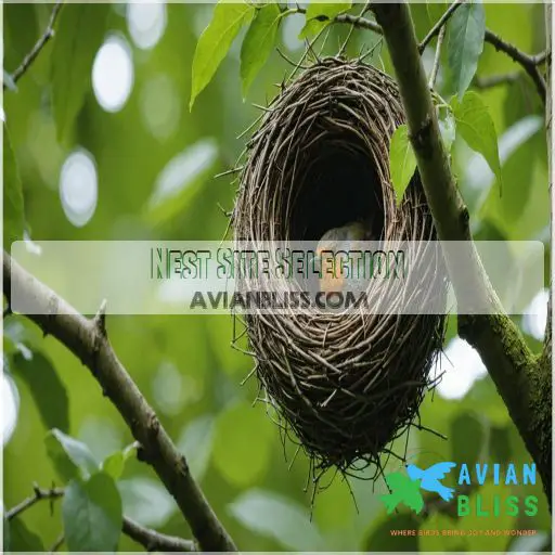 Nest Site Selection