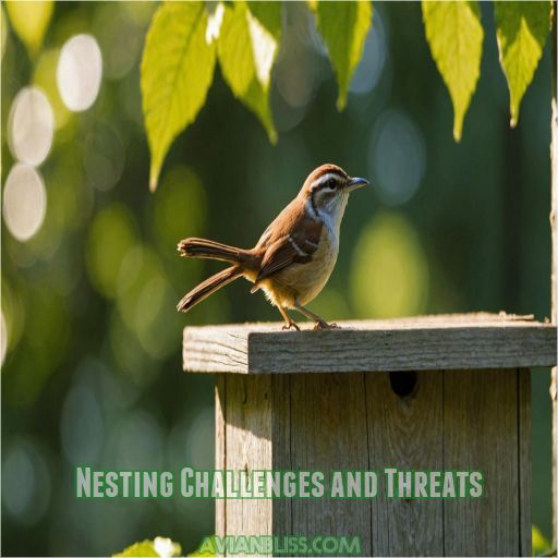 Nesting Challenges and Threats