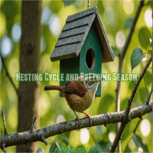 Nesting Cycle and Breeding Season