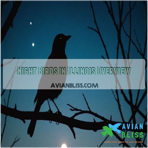 Night Birds in Illinois Overview