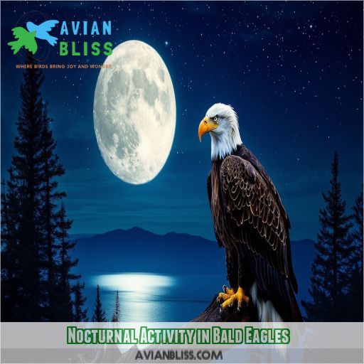 Nocturnal Activity in Bald Eagles