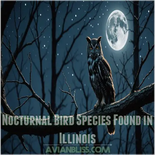 Nocturnal Bird Species Found in Illinois