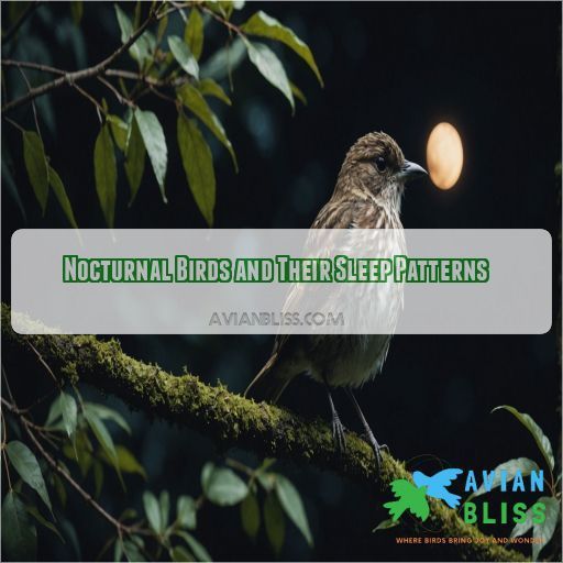 Nocturnal Birds and Their Sleep Patterns