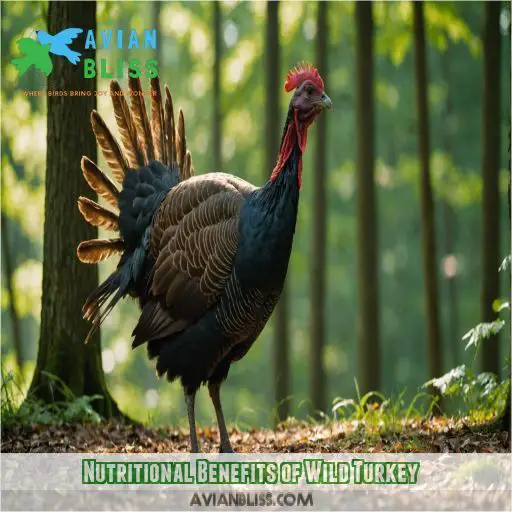 Nutritional Benefits of Wild Turkey