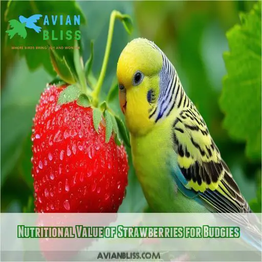 Nutritional Value of Strawberries for Budgies