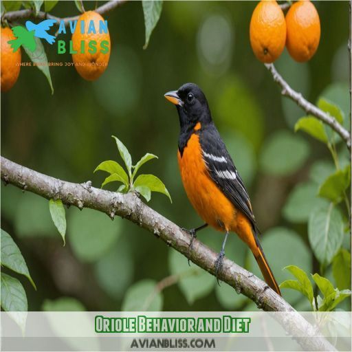 Oriole Behavior and Diet