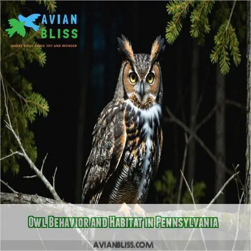 Owl Behavior and Habitat in Pennsylvania