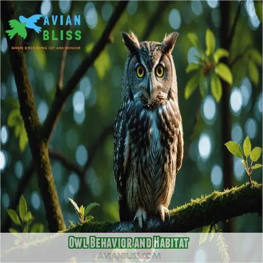 Owl Behavior and Habitat