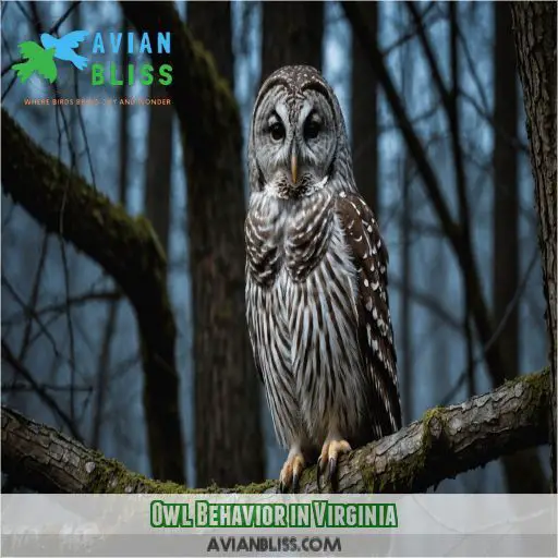 Owl Behavior in Virginia