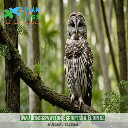 Owl Conservation Efforts in Florida