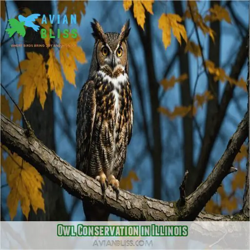 Owl Conservation in Illinois