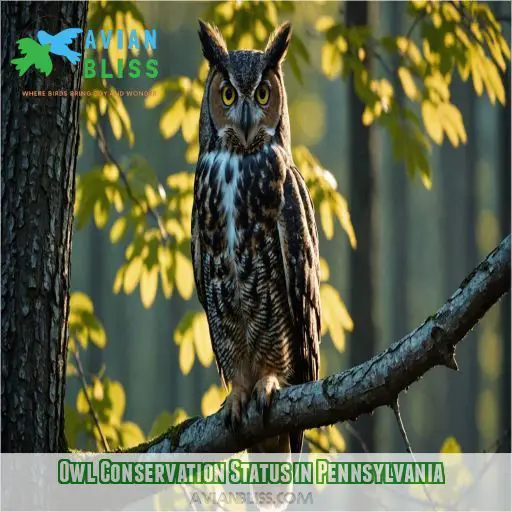 Owl Conservation Status in Pennsylvania