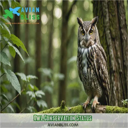 Owl Conservation Status