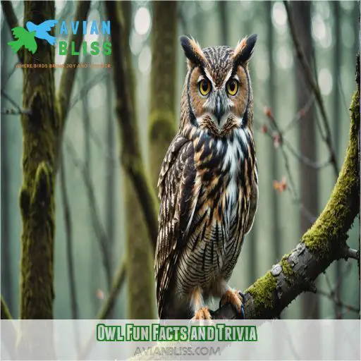 Owl Fun Facts and Trivia