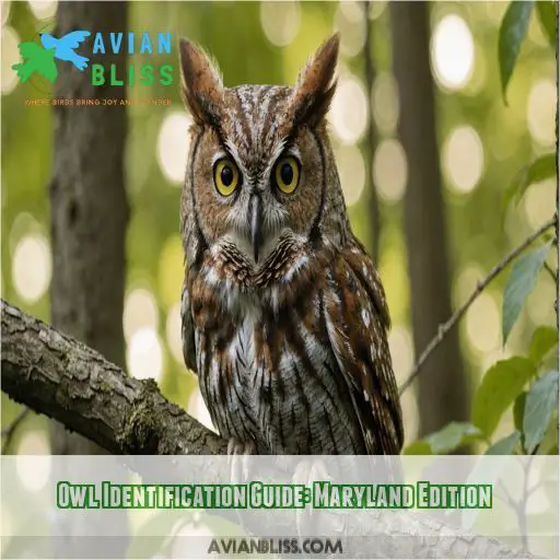 Owl Identification Guide: Maryland Edition