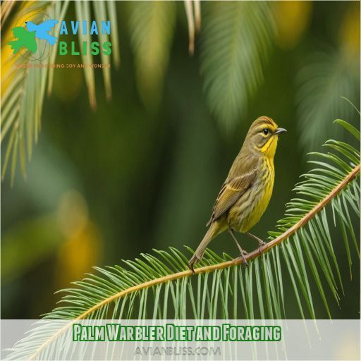 Palm Warbler Diet and Foraging