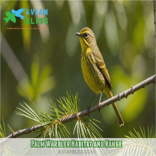 Palm Warbler Habitat and Range