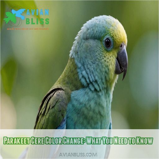 Parakeet Cere Color Change: What You Need to Know