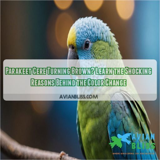 Parakeet Cere Turning Brown? Learn the Shocking Reasons Behind the ...