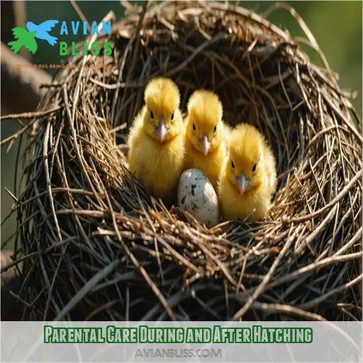 Parental Care During and After Hatching