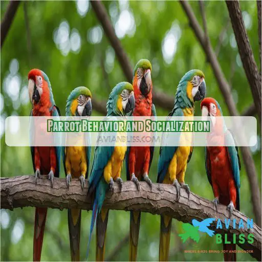 Parrot Behavior and Socialization