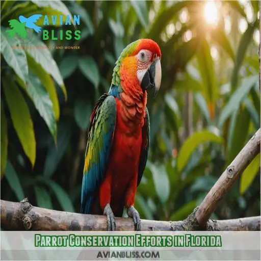 Parrot Conservation Efforts in Florida