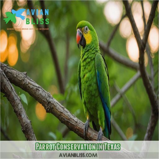 Parrot Conservation in Texas