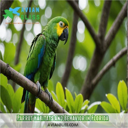 Parrot Habitats and Behavior in Florida