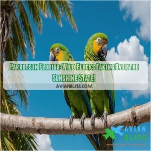 parrots in florida