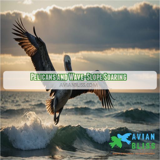 Pelicans and Wave-Slope Soaring