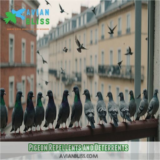 Pigeon Repellents and Deterrents