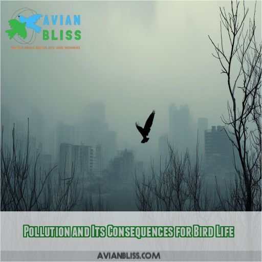 Pollution and Its Consequences for Bird Life