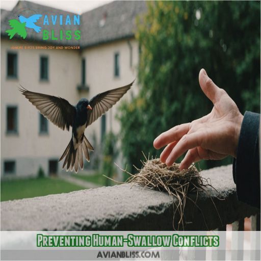 Preventing Human-Swallow Conflicts