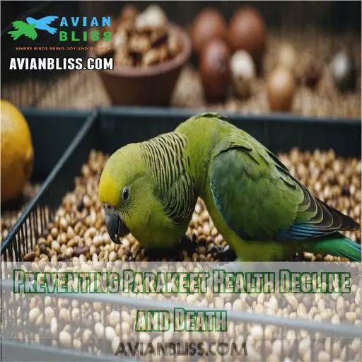 Preventing Parakeet Health Decline and Death